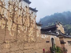 -杨家堂村