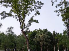 -金海湾滨江公园