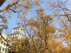 -哈尔滨工业大学(威海校区)