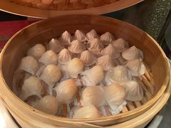 -上海大宁福朋喜来登酒店大堂吧(共和新路店)