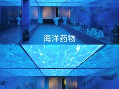 -广东中医药博物馆