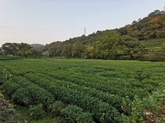 -随意茶庄·地道杭帮农家菜(梅家坞店)