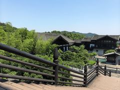 -大唐贡茶院