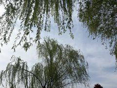 -郑州植物园