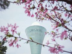-狐尾山公园