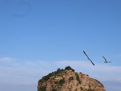 -棒棰岛宾馆景区