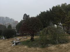 -堤角公园
