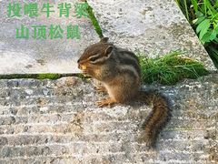 -牛背梁国家森林公园
