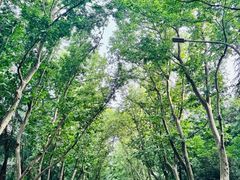 -东钱湖旅游度假区