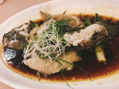 -新南华大酒店(广中店)