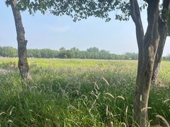 -汉长安城未央宫国家考古遗址公园