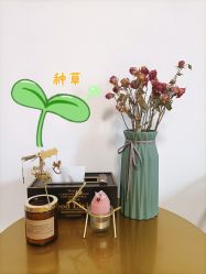 -盖氏丹辰·良咔瘦身·减脂塑形