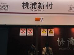 -桃浦新村(地铁站)