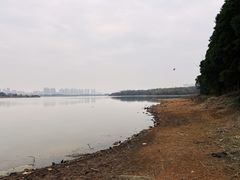 -盘龙城国家考古遗址公园