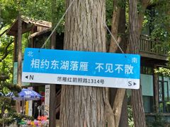 -东湖落雁景区
