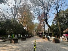 -山外山菜馆(玉泉路店)