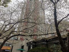 -玛格萝妮比萨屋(四平店)