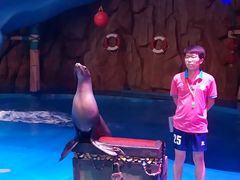 -烟台海昌鲸鲨海洋公园