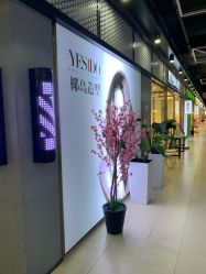 -YESIDO椰岛造型