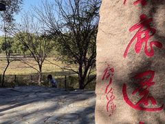 -北京麋鹿生态实验中心