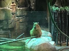 -zoonana室内动物园(东方福来德店)
