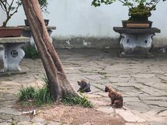 -西园戒幢律寺