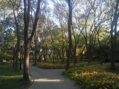 -玲珑塔公园