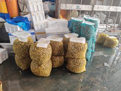 -海峡水产品交易中心(海鲜交易区)