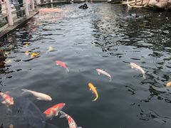 -湖鲜楼