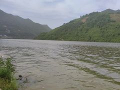 -后柳水乡