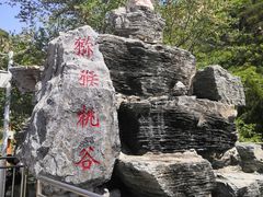 景区门口-大岭沟猕猴桃谷风景区