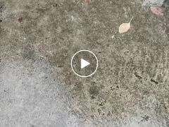 -瑞慈体检上海松江机构