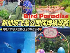 -新加坡飞禽公园