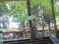 -二荆条·蜀鲜汇城市森林火锅