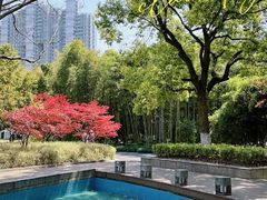 -苏州河梦清园环保主题公园