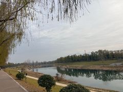 -洨河生态公园