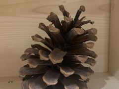 -联合口腔(西环诊所)