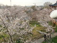 -东湖生态旅游风景区