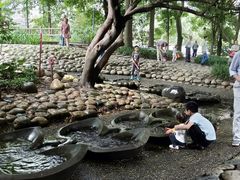 -成都市活水公园