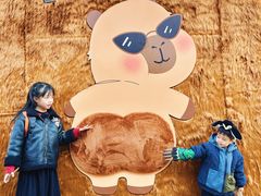-郑州银基国际旅游度假区