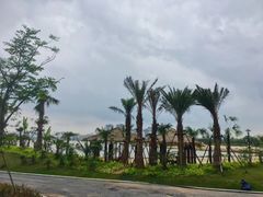 -九龙湖公园