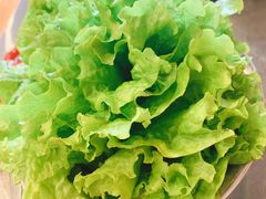 生菜-英雄故事地摊烤肉(马驹桥店)