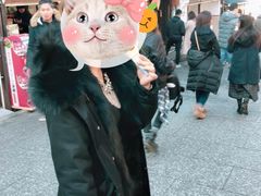 -有栖山 清光院 清水寺