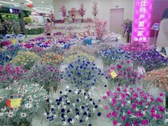 -花之城