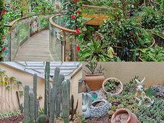 -正佳雨林生态植物园