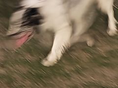 -首开·龙湖成都西宸天街