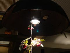 -兮禾酒馆(护国路店)