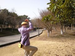 -南湖湿地公园