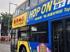 -Big Bus Tours 敞篷观光巴士