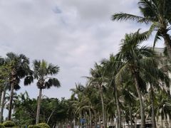 -霞山观海长廊